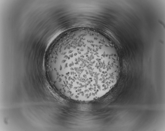 X0000099930788200806131401