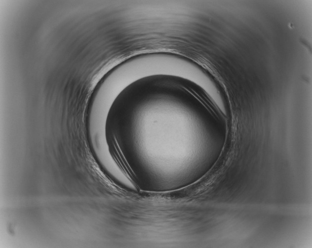 X0000099930789200806131401