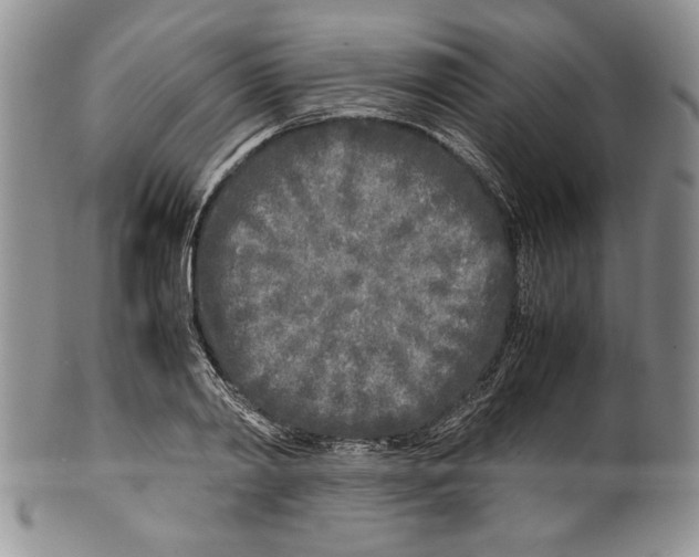 X0000099930790200806131401