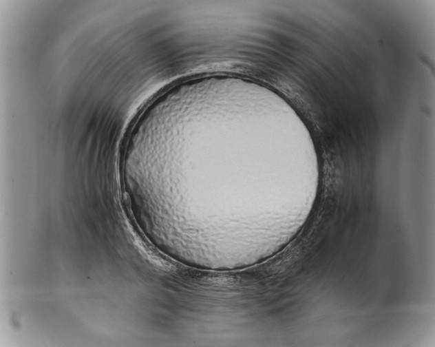 X0000099930792200806131401