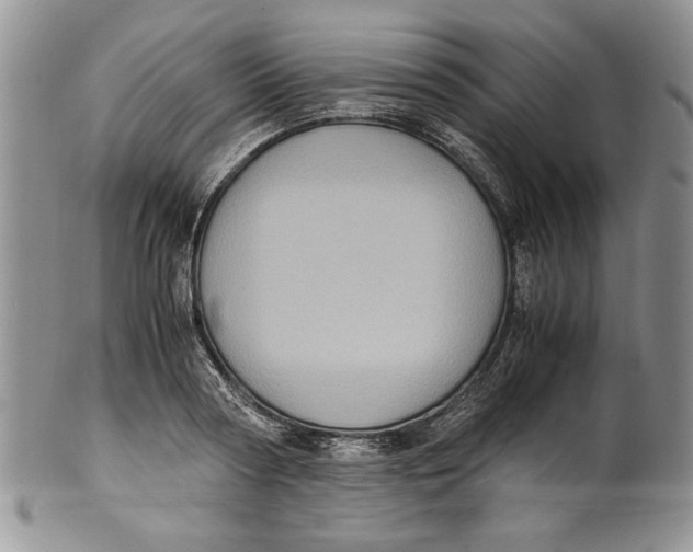 X0000099930794200806131401