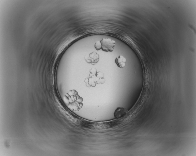 X0000099930795200806131401