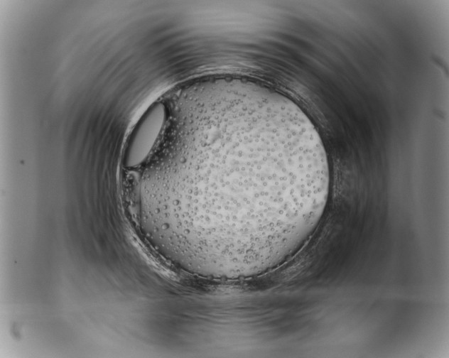 X0000099930796200806131401