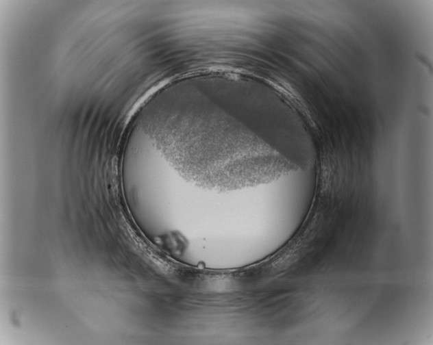 X0000099930798200806131401