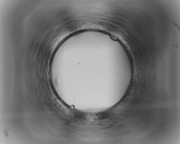 X0000099930799200806131401