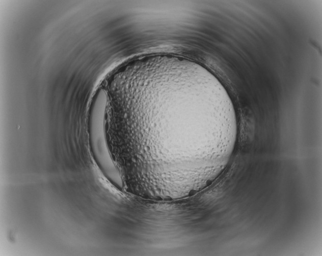 X0000099930800200806131401