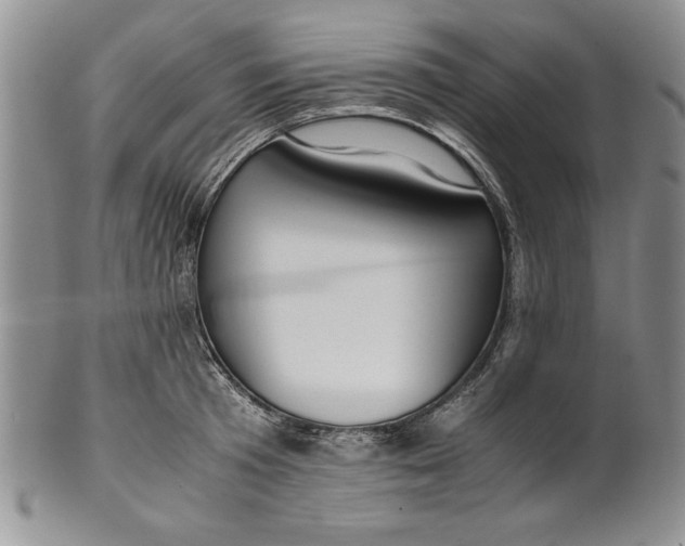 X0000099930801200806131401