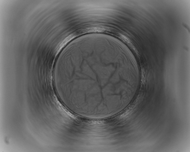 X0000099930802200806131401