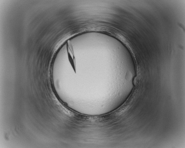 X0000099930803200806131401