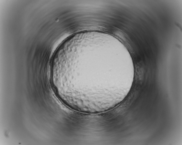 X0000099930804200806131401