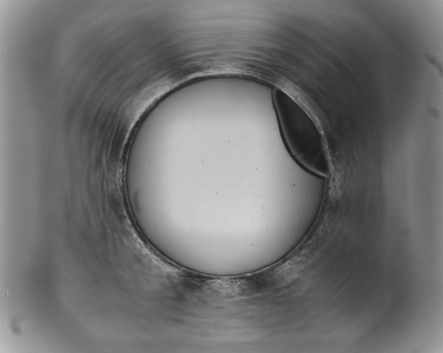 X0000099930805200806131401