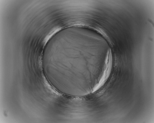 X0000099930806200806131401