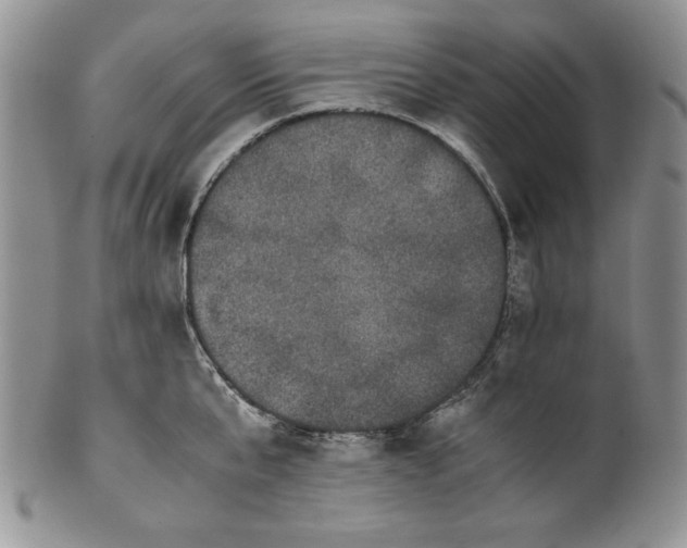 X0000099930807200806131401