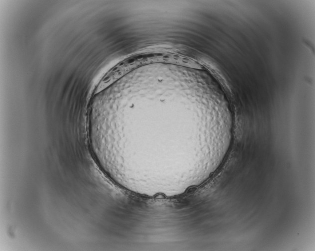 X0000099930808200806131401