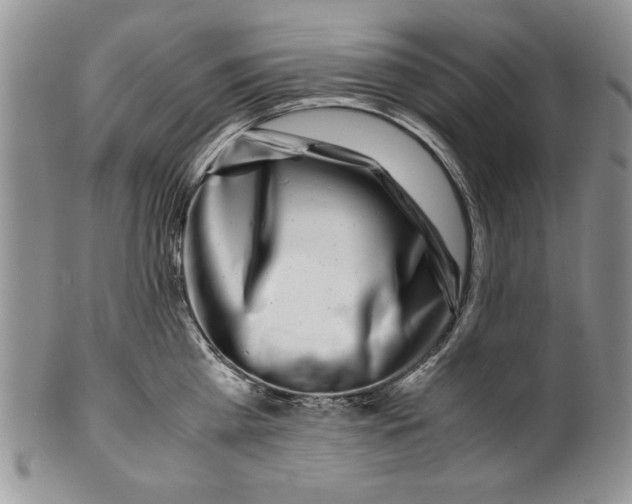 X0000099930809200806131401