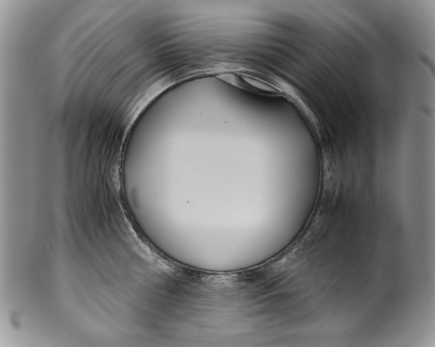 X0000099930810200806131401