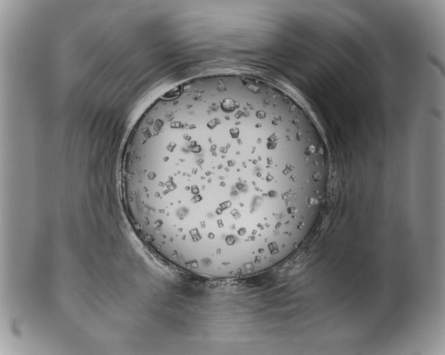 X0000099930811200806131401