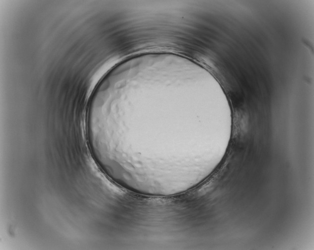 X0000099930812200806131401