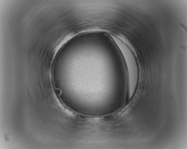 X0000099930813200806131401