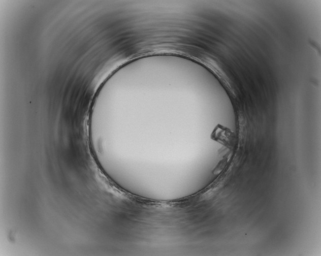 X0000099930814200806131401