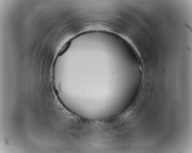 X0000099930815200806131401