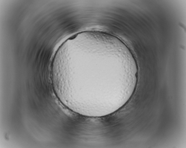 X0000099930816200806131401