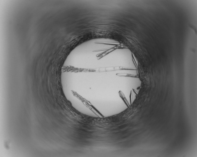 X0000099930817200806131400