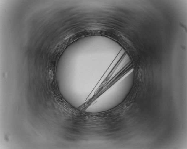 X0000099930821200806131400