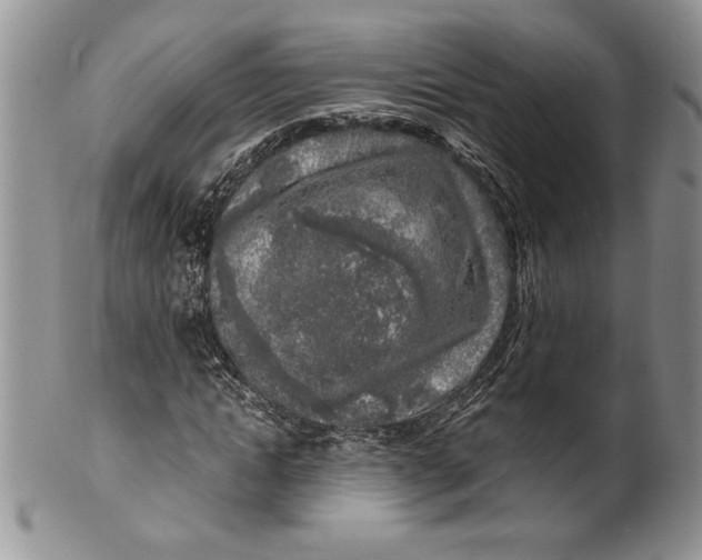 X0000099930822200806131400