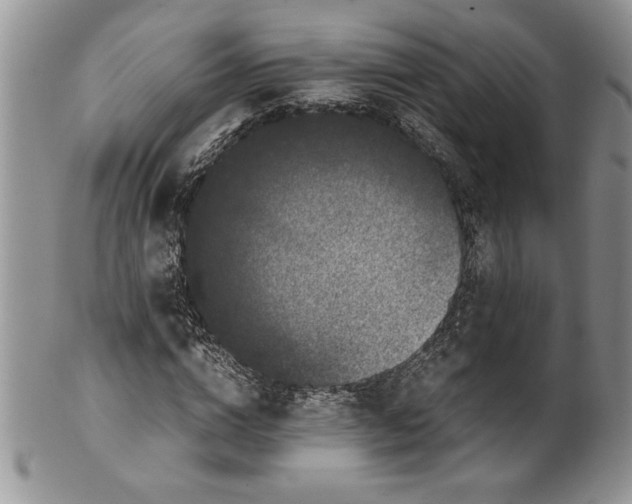 X0000099930824200806131400