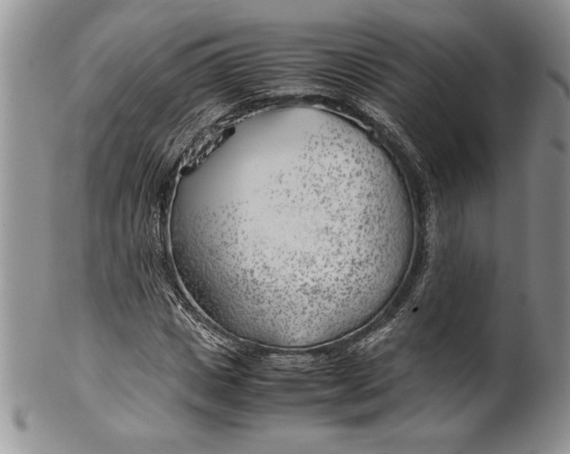 X0000099930825200806131400