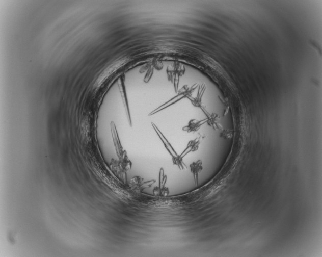 X0000099930826200806131400