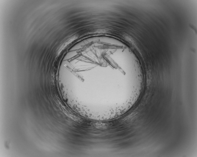 X0000099930827200806131400