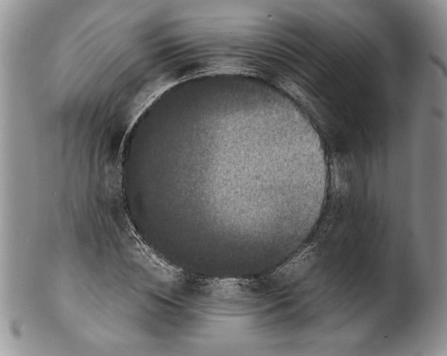 X0000099930828200806131400