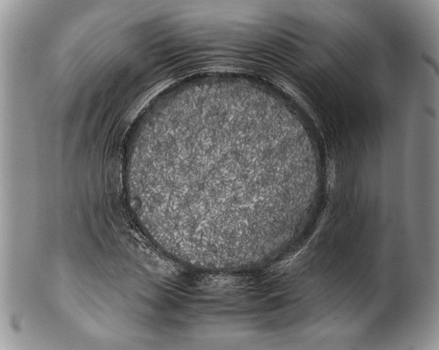 X0000099930829200806131400