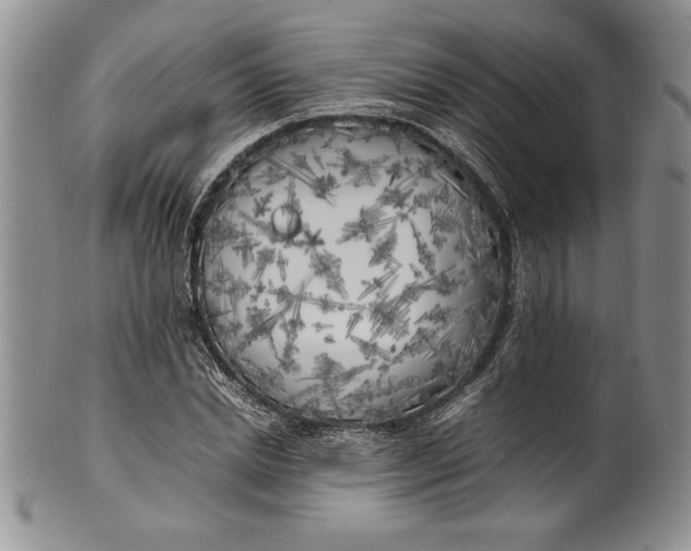 X0000099930830200806131400