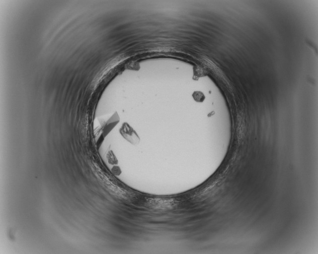 X0000099930831200806131400