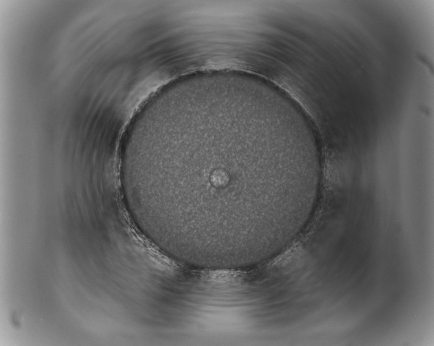 X0000099930832200806131400