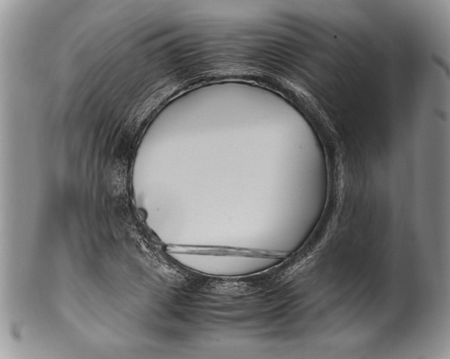 X0000099930833200806131400