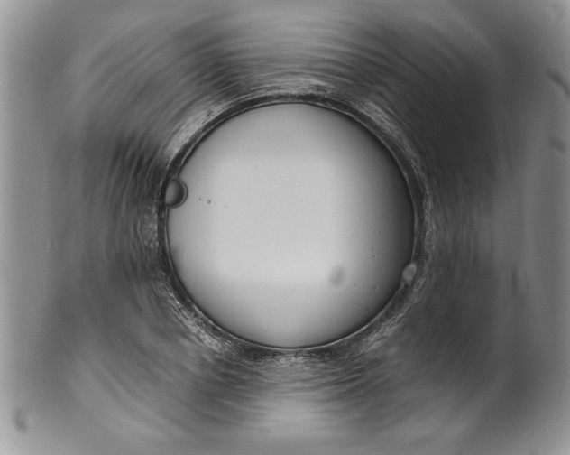 X0000099930834200806131400