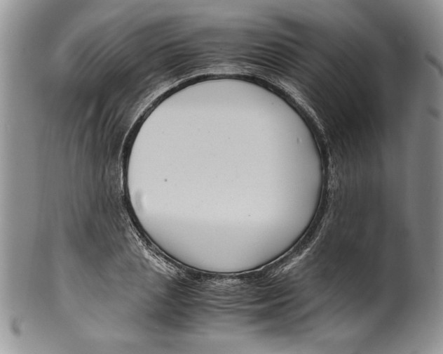 X0000099930837200806131401