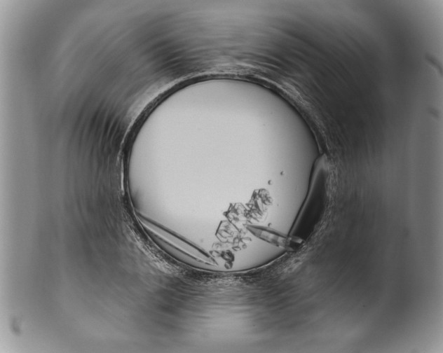 X0000099930838200806131401