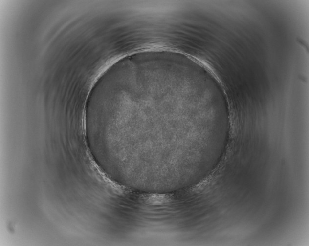 X0000099930839200806131401