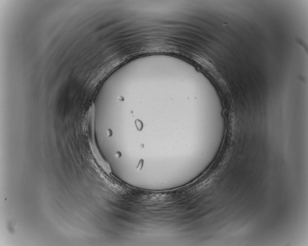 X0000099930841200806131401