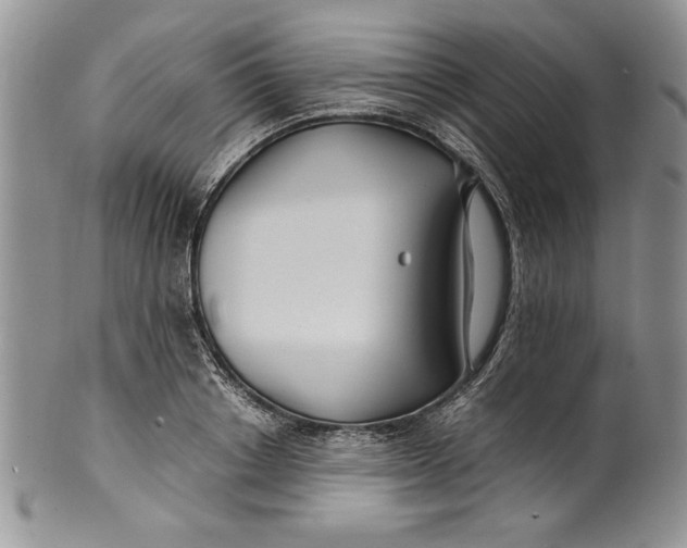 X0000099930842200806131401