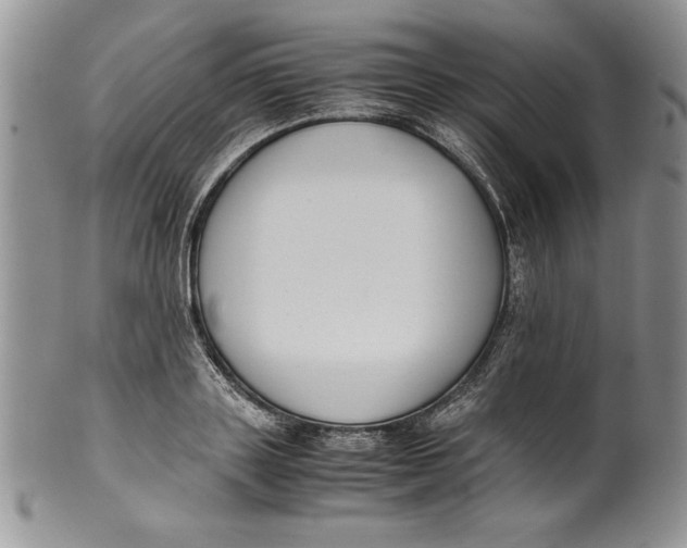 X0000099930843200806131401