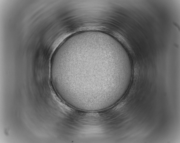 X0000099930844200806131401