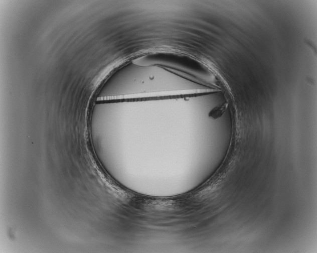 X0000099930845200806131401