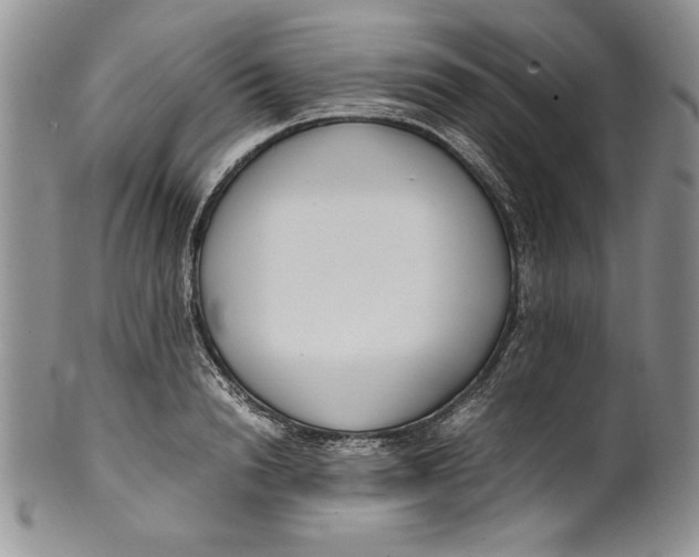 X0000099930846200806131401