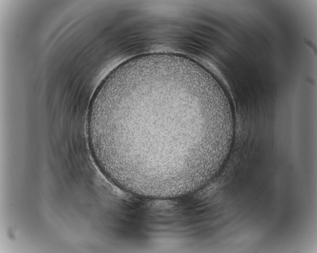 X0000099930847200806131401